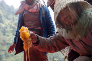 The Honey Hunters of Nepal
